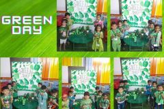 Green-Day-Celebration-0002